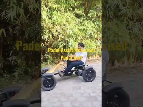 Padel Assit Motorised 4wheeler Padel Kart for Fun / adventure drive