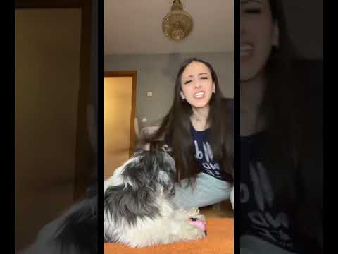 El mejor truco del mundo 🌏