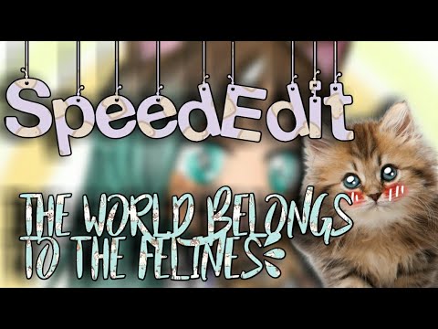 SpeedEdit ~The world belongs to the felines}