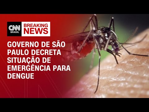 ​Governo de São Paulo decreta situação de emergência para dengue | BASTIDORES CNN