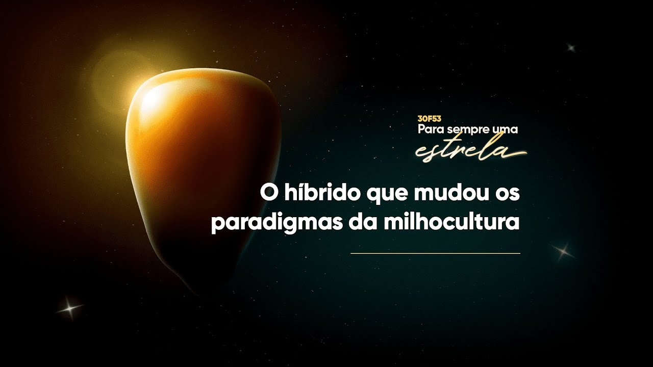 Vídeo 4