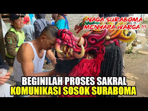 KUDA LUMPING MSP DI SAPAN SUMBERSARI❗️❗️LEMBUR KURING