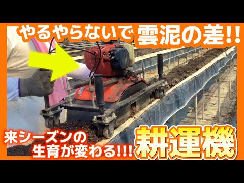 【いちご栽培】耕運機について【生育が変わる‼️】