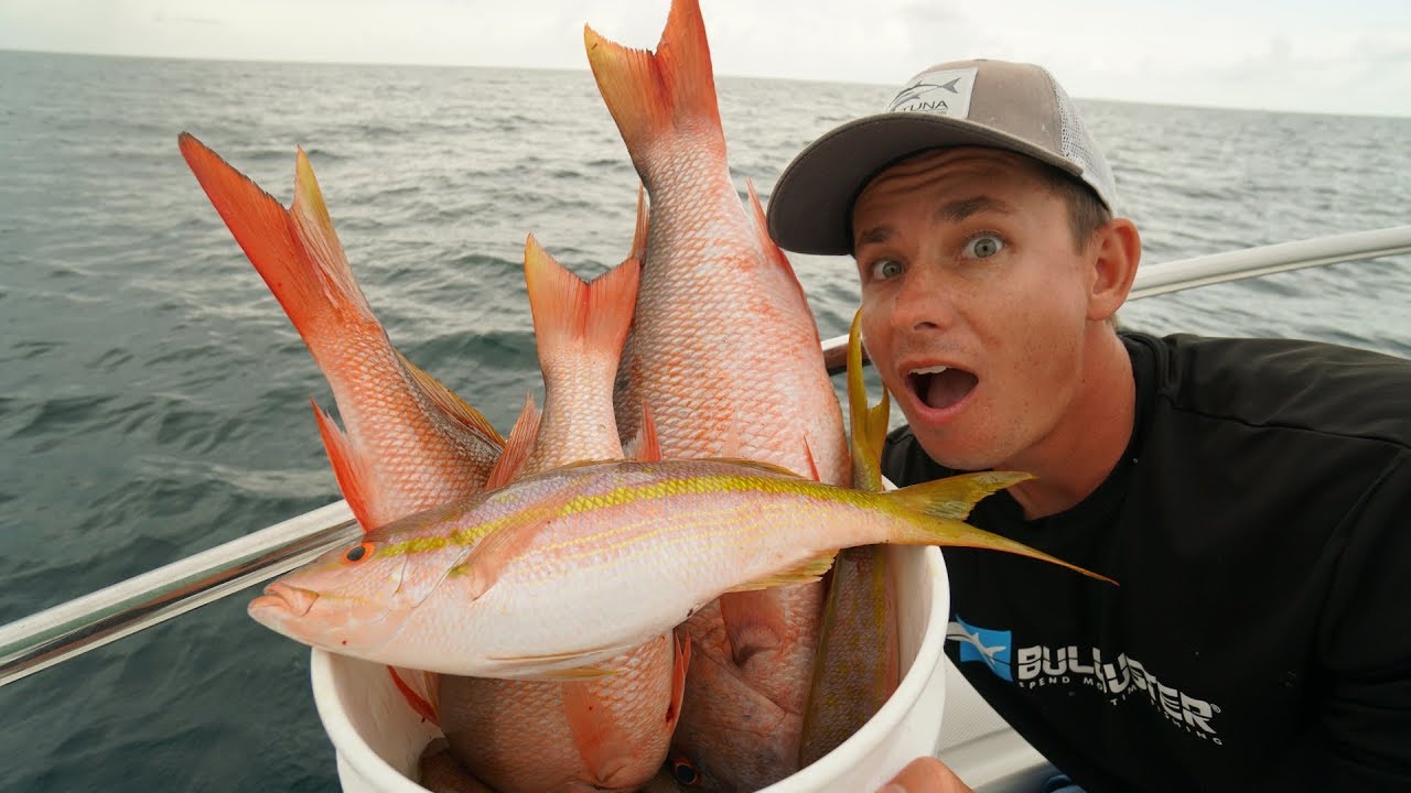 HOW To Catch COLORFUL REEF Fish- Snapper Fishing