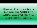 Scale Factors and Surface Area