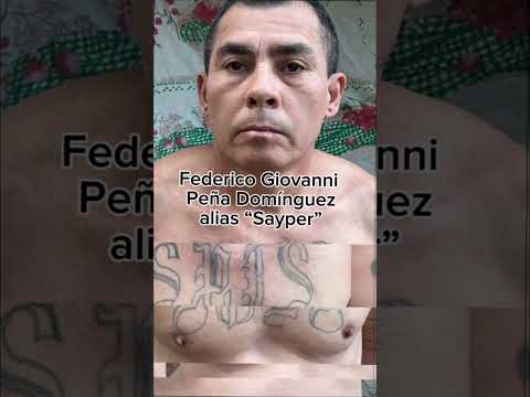 Cayo Pandillero Escondido en una Cueva🚨 #shorts #tiktok #reels #video #elsalvador #estadosunidos