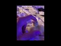 비디오 튜토리얼 퀴즈