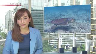 動画サムネイル