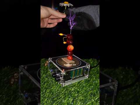๐ Cherry + flower + led bulbs #experiment #shorts #teslacoil