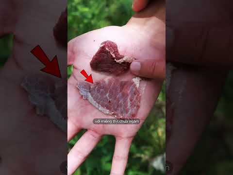 meat