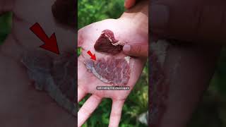 meat