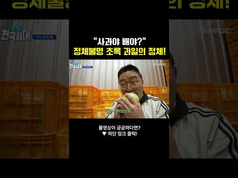 #배 #과일 #이색과일 #초록배 #여행 #부산mbc #<strong>전국시대</strong>