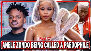 DSTV Cuts Ties With MacG Podcast And Chill, Anele Zondo Being Called A Paedophile | RedLive