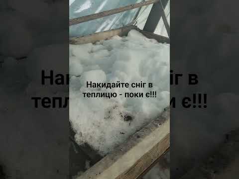 чи потрібен сніг в теплиці?