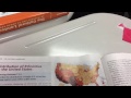 Understanding Ethnicity and Race Concepts