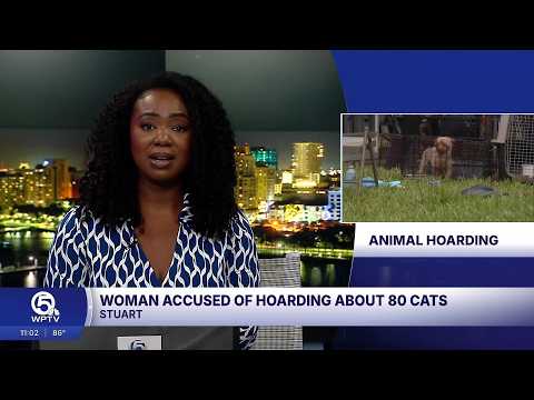 77-year-old accused of hoarding about 80 cats in what sheriff calls worst case in Martin County