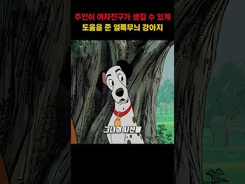 주인이 여자친구가 생길 수 있게 도움을 준 얼룩무늬 강아지