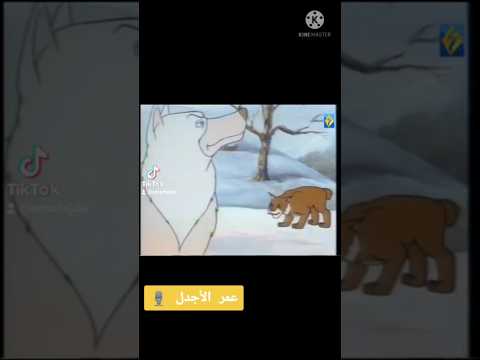 كرتون زمان | أسطورة الذئب الأبيض