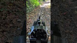 5 inch gauge Y4 working hard #steam #automobile #train #steamegne #steamengine #locomotive #fun #