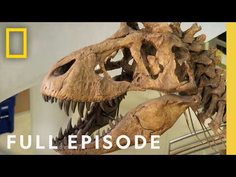 Secrets of the Deadly T-Rex: King of the Dinosaurs (Full Episode) | Lost Beasts Unearthed