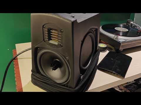 GoldenEar Aon 2 Review & Walkaround | Ribbon Tweeter + Passive Radiator Magic