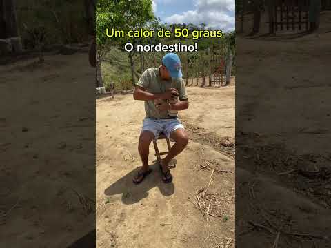 1 de dezembro de 2025