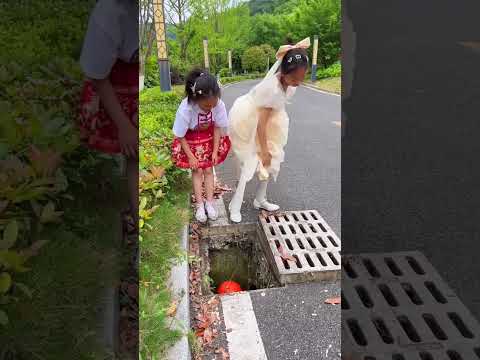 Amazing stool New Viral Gadgets, Smart Appliances, Kitchen Utensils/Home Inventions #shorts