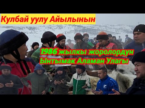 Кулбай уулу айылынын 1986 жылкы жоролордун ынтымак улагы