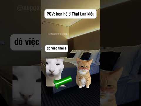 Ae phải cẩn thận đấy #shorts #funny #dongvat #cat