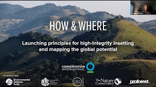 Launching Principles for High-Integrity Insetting and Mapping the Global Potential