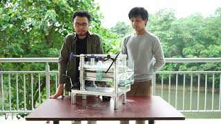 Mosquito Larvae Rearing Rack