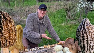 Morcheltour Ende März 2024