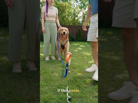 Amazon Products You Should Never See 😳
