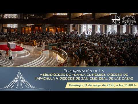 Arquidiócesis de Tuxtla, Diócesis de Tapachula y de San Cristóbal de las Casas, 11-05-2026, 11:00 h.