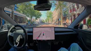 More Tesla Self-Driving in Amsterdam