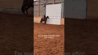 Come ride Brinley with me! 🙃💗
