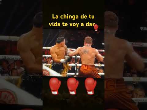 Canelo vs berlanga# la chinga de tu vida te voy a dar# #mexico vs Puerto Rico #Shorts