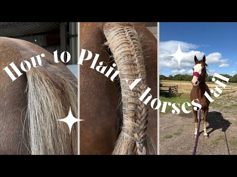 Horsey how to: plaiting a horses tail! 