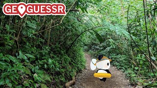 【ジオゲッサー】月額かと思ったら年額課金してたので元を取れるくらいまで遊びたいパンダ【ちゃむ/Vtuber】