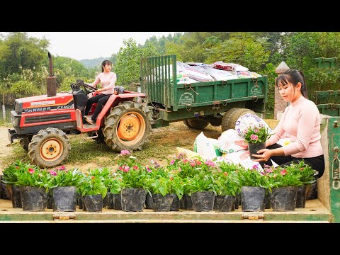 Use Trucks To Transport Manure And Ornamental Plants - Growing plants, raise chickens, raise ducks