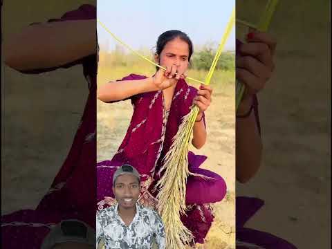 Solo Survival Cabin Build | Timelapse EP 112