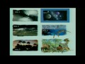 Cosmology and the Big Bang