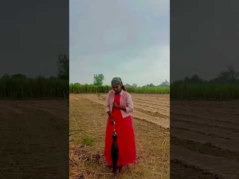 डॉक्टर साहब कीड़ा तो#viralvideo