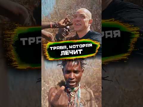 Почему в саванне нужно быть очень внимательным #погнали #африка