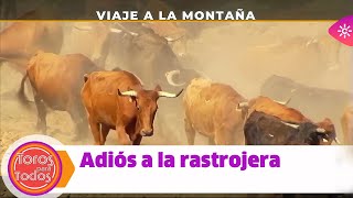 Toros para todos |Viaje a la montaña', adiós a la rastrojera