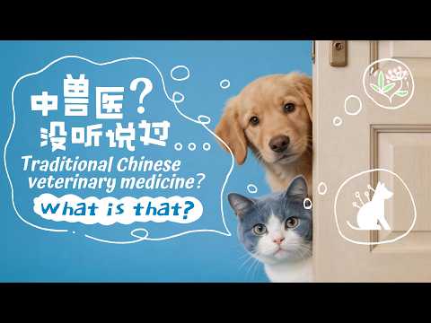 Trailer: Ancient China's 'paw-fect' remedy