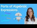 Identifying Parts of Algebraic Expressions