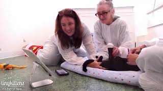 Zoe gets an ultrasound! Aug 6 2025