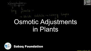 Osmotic Adjustments in Plants