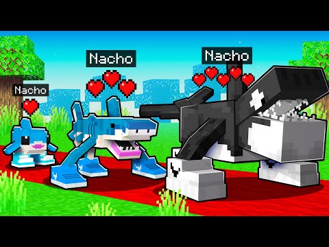 Nacimiento a Muerte de un BRAINROT en Minecraft